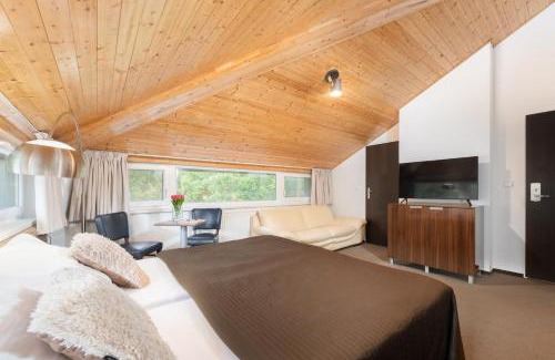 Brno Hotel | Hotel U Šuláka