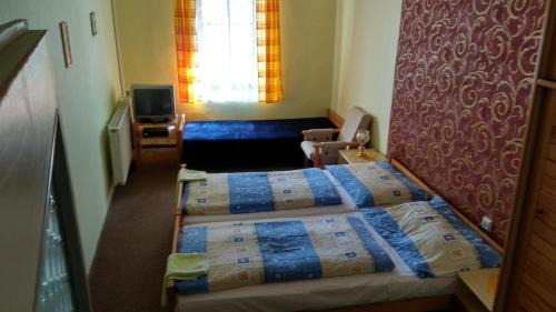 Nove Mesto nad Metuji Hotel | Hotel U Broucka