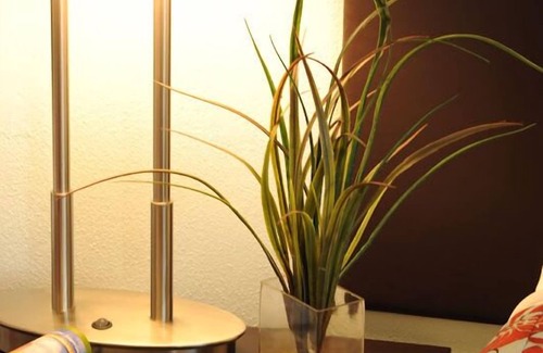 Amherst Hotel | Hotel UMass