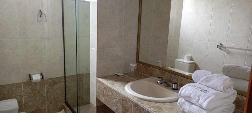 Tarija Hotel | Hotel Viña del Sur