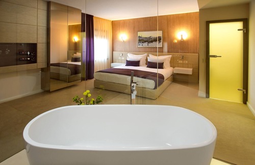 Satu Mare Hotel | Hotel Vila Class