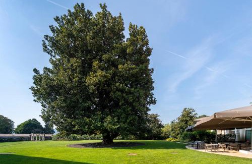 Malo Hotel | Hotel Villa I Pini