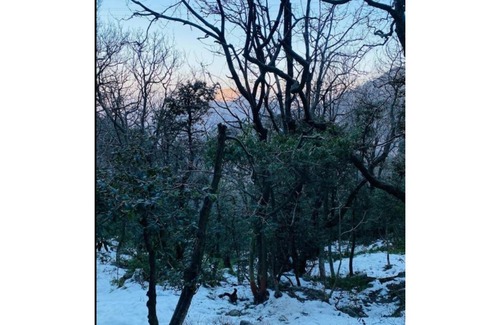 Katra House | Hotel Vipul Palace, Katra