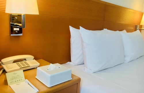 Narita Hotel | Hotel Welco Narita