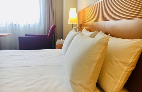 Narita Hotel | Hotel Welco Narita