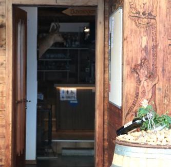 Brienz Hotel | Hotel Wildbach Brienz