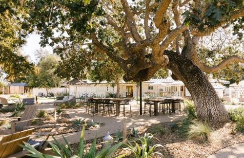 Solvang Hotel | Hotel Ynez