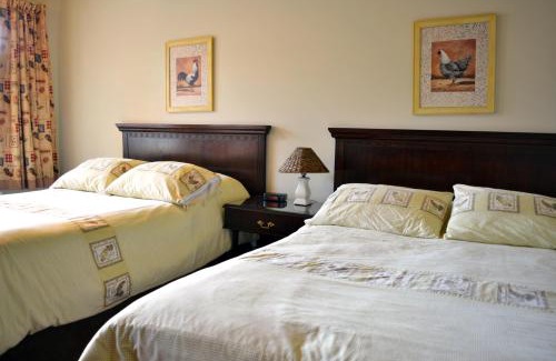 Rock Forest Hotel | Hotellerie Jardins de Ville