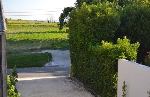 Chenac-Saint-Seurin-d'Uzet House | HOUSE 6 pers. Disabled Access - Gironde Estuary