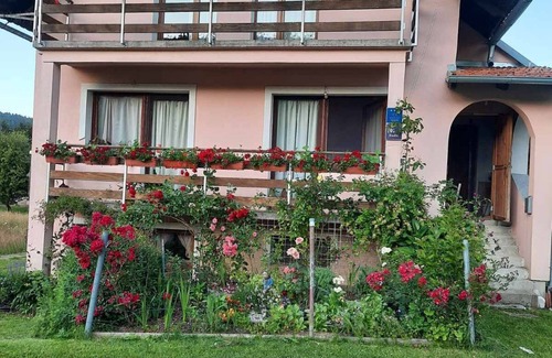Jasenak House | House Šumska Idila (90561-K1) - Jasenak