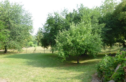 Bergerac Cottage | House Alienor garden comfort playroom animal welcome in Medieval classified
