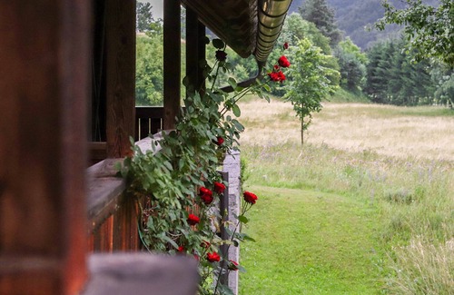 Dovje Cottage | House Alpine Rose - Apartment Toni