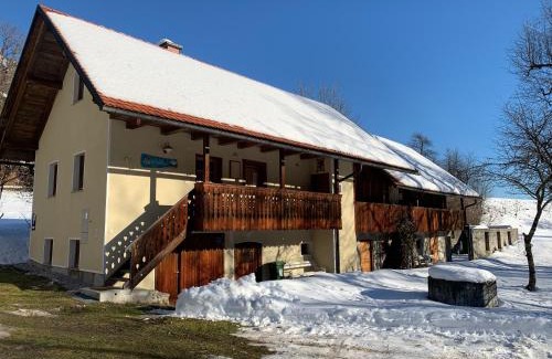 Dovje House | House Alpine Rose