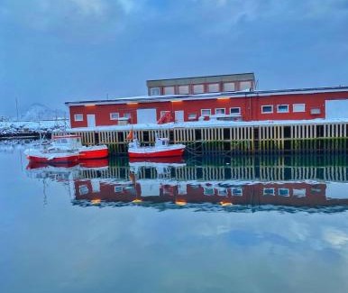 Ballstad House | House by the sea, Ballstad Lofoten