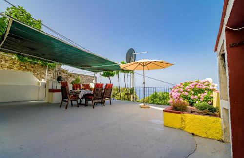 Ustrine House | House Casa Nori
