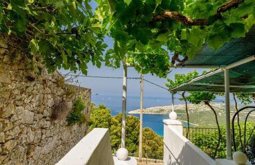 Ustrine House | House Casa Nori
