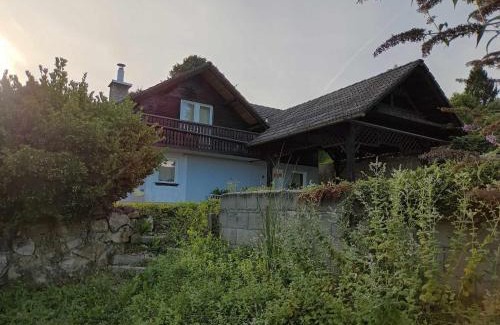 Vidrga House | House David