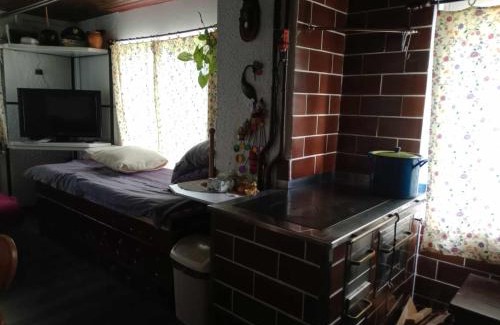 Vidrga House | House David