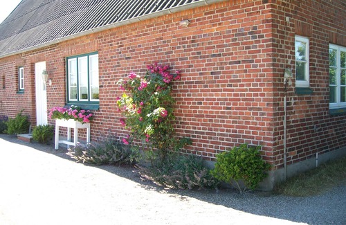 Nieby House | House for 4 guests with 70m² in Nieby (128998)