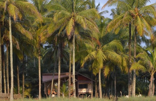Mompiche House | House for rent in a delightful island