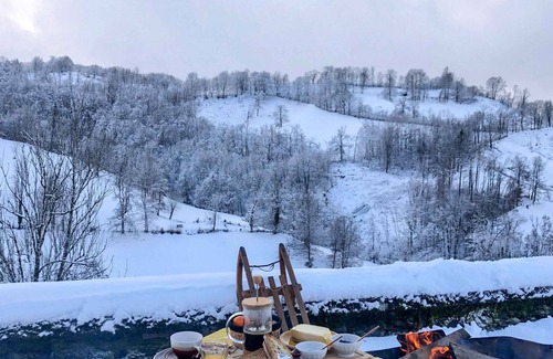 Saint-Cirgues-de-Jordanne House | House with incredible view of the Auvergne volcanoes! near Puy Mary