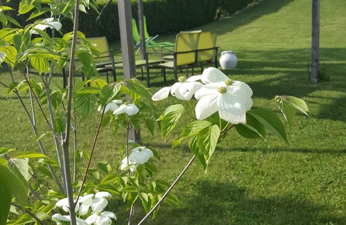 Roncegno Apartment | HOUSE HUELLER APARTMENT IN A QUIET AREA WITH LARGE GARDEN