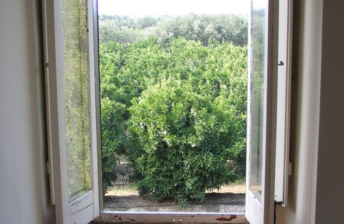 Mirto Cottage | House in a romantic citrus grove, private access to the beach, relax and tranquility!