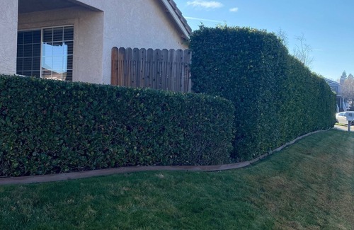 Roseville House | House in Center of Roseville