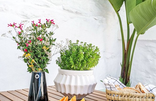 Ourique Cottage | House in Montinho - Alentejo - Portugal