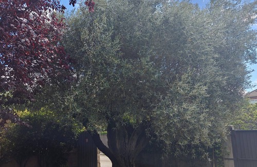 Collado Mediano House | House in Sierra de Madrid - Pool/garden - Wifi - Next to Train Station