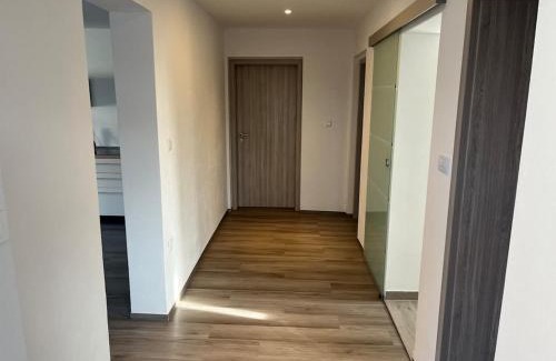 Tisina House | House in the Village