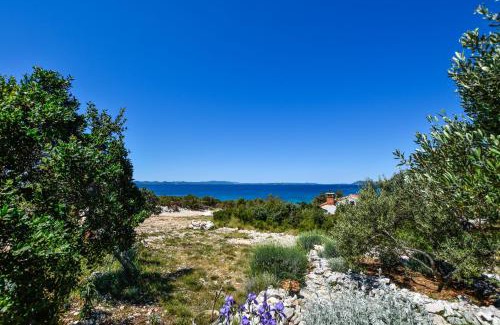 Nevidane House | House Jonathan