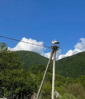 Nyzhnje Selyshche Apartment | House Menchul