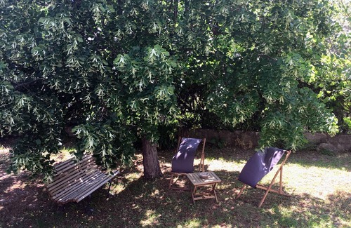 Oletta Villa | House near st Florent