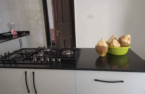 Shanzu Villa | House Numba Tatu Your Tropical Home Away from Home!nTours, Beaches & Good Vibes