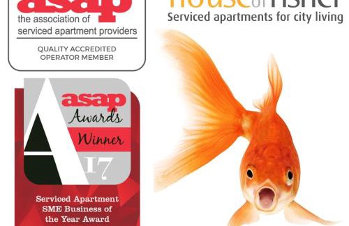 Basingstoke Apartment | House of Fisher - Central Point
