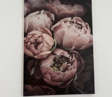 Spinea Apartment | House of Flowers