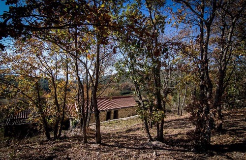 Macieira de Cambra Cottage | House of Grandfather Zé - Houses of Grandparents