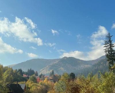 Baile Tusnad House | House of Laura