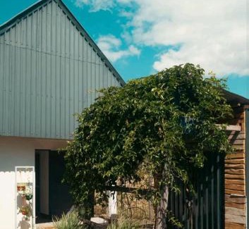 Rungwe Apartment | House of Roses