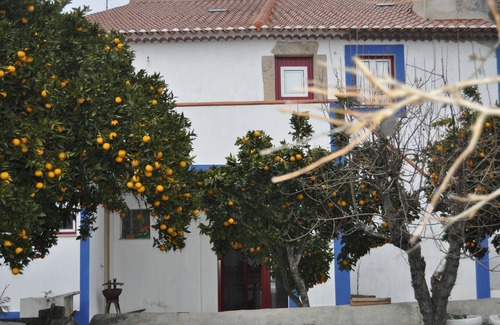 Alpalhao House | HOUSE OF SWALLOWS/Swallows House