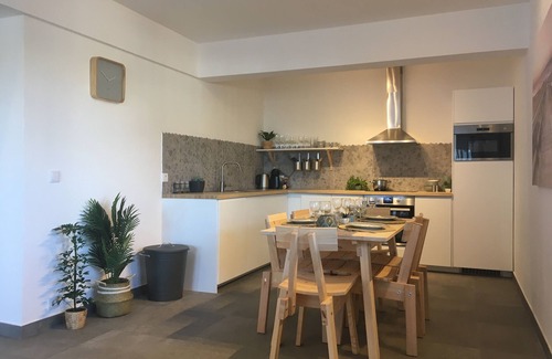 Praia de Mira House | House on the river: Bico das flores 2