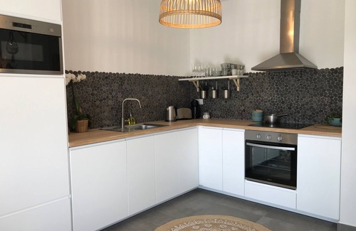 Praia de Mira Apartment | House on the river: Bico das flores 1