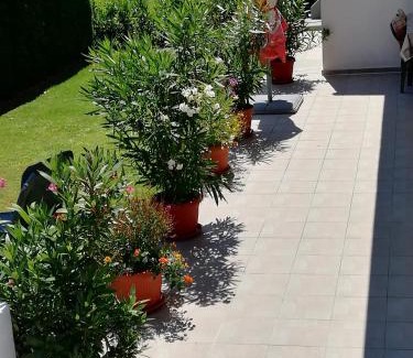 Grabovac House | House Osana