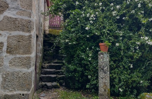 Baiao House | House
