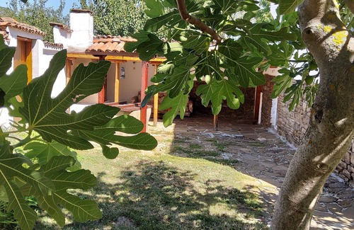 Prilep House | House Sleeps 6-garden-freeparking-bbq-patio-petsok