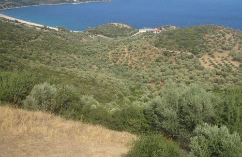 Pirgadikia House | House SOFIA - Quiet house with a large garden for a relaxing holiday