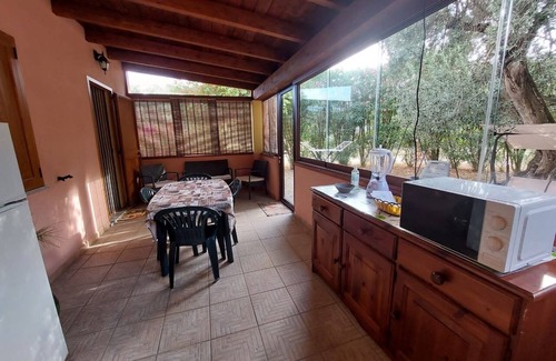 Iglesias Historic Centre Apartment | House The Ancient Olive Tree, nestled in a centuries-old olive grove with a large garden around it.