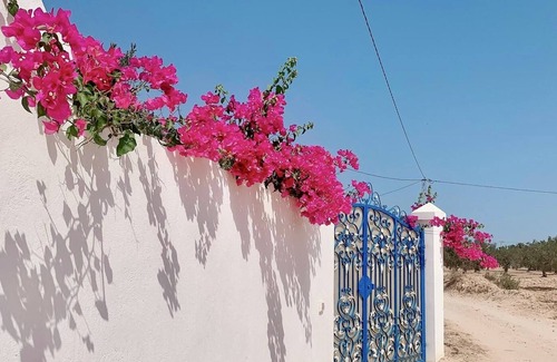 Hawmat al Badawiyin Villa | House