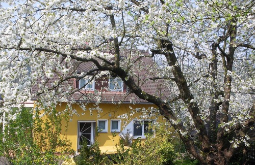 Villmar Apartment | House under the cherry tree, Krone apartment 80m from the Lahn